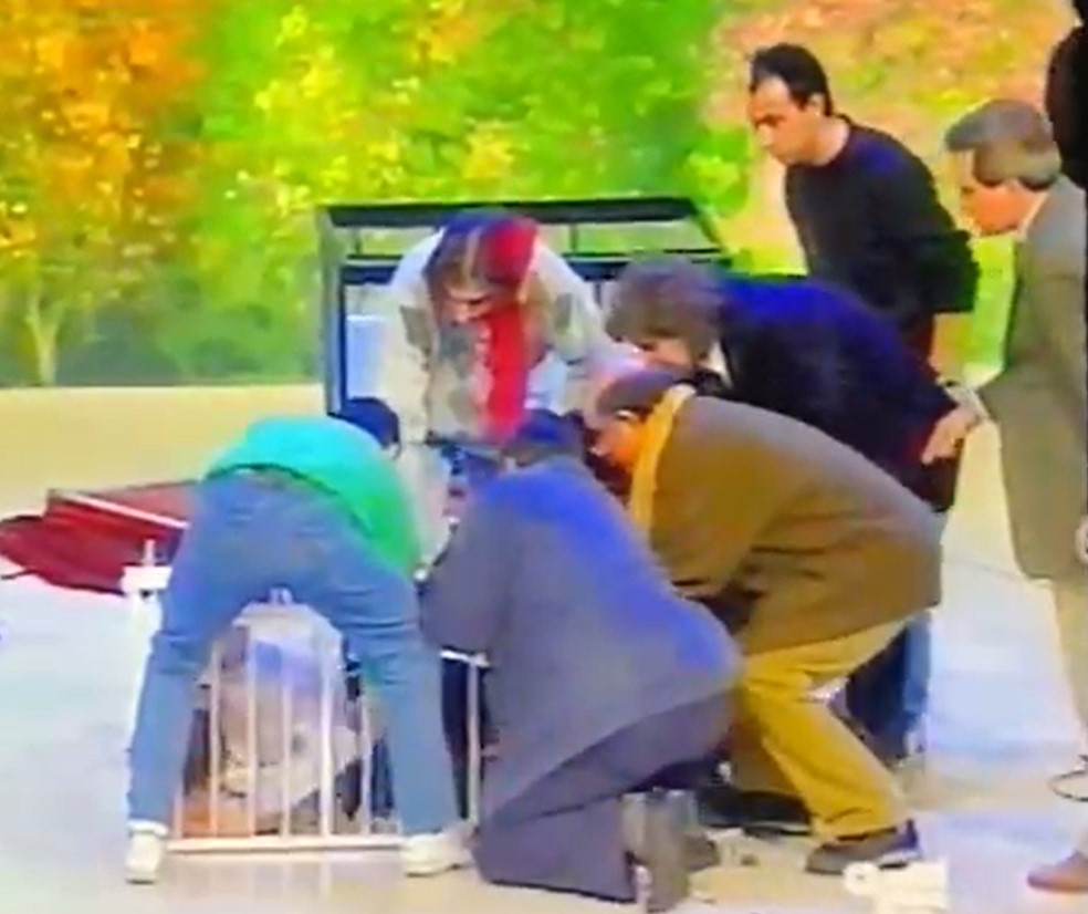 Little Water Torture Cell -  accident